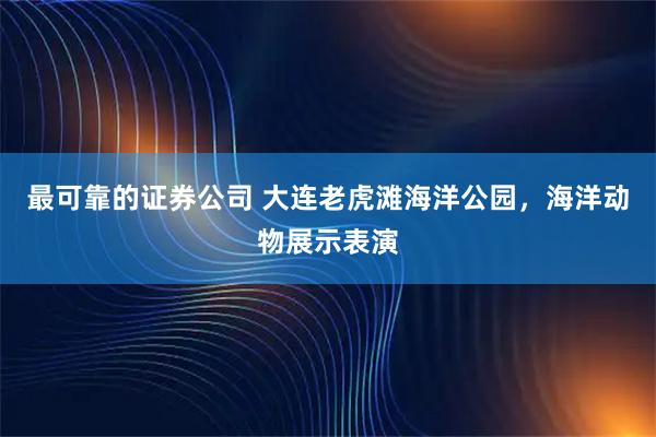 最可靠的证券公司 大连老虎滩海洋公园，海洋动物展示表演
